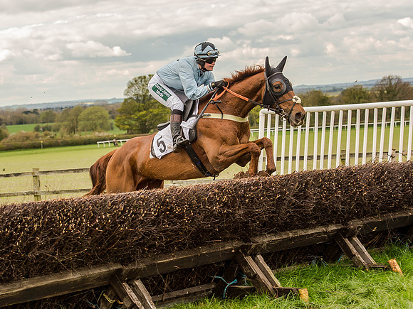 Race 3 - Young Horse maiden 2m5f (82 of 124).jpg