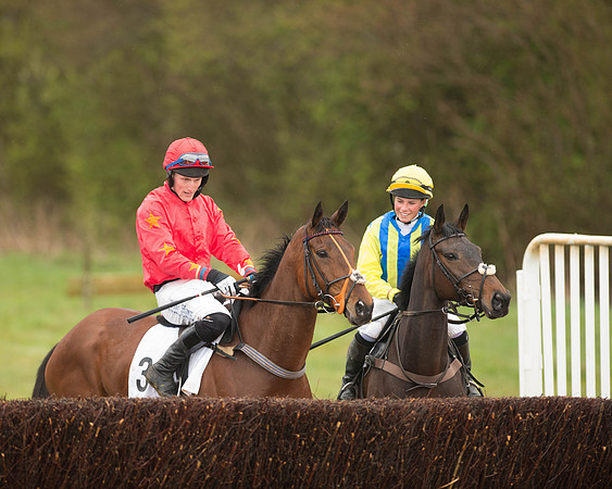 Race 5 - Open Maiden (70 of 147).jpg