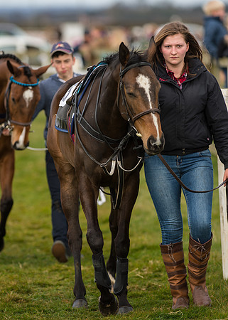 Pony Race 2 - 148cm -2
