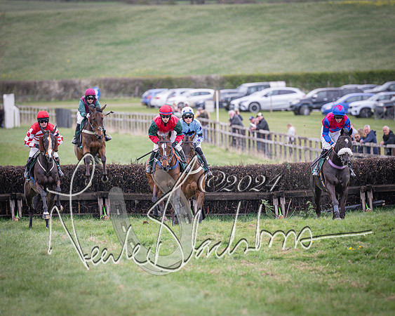 Race 6 - The Restricted Race (29 of 101)