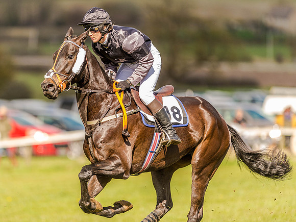 Race 4 - Ladies Open [Nov-Vet] (34 of 82).jpg