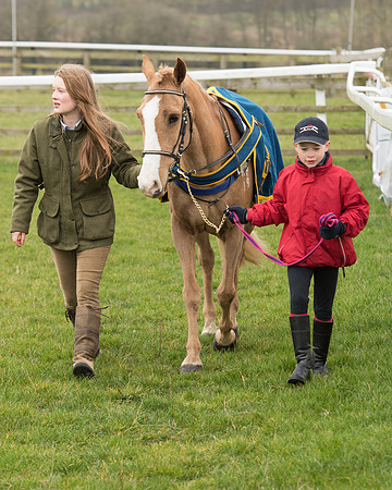 Bicester Ponies-2.jpg
