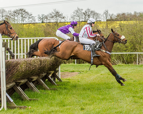 Race 2 - Open Maiden  (76 of 170).jpg