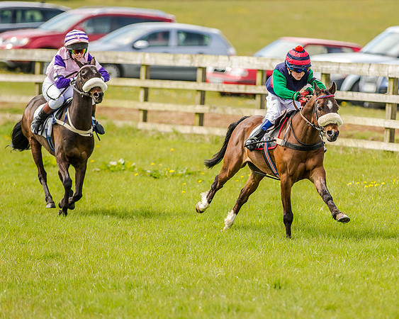 Pony Race 1  (31 of 65).jpg