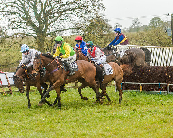 Race 5 - Restricted Race (65 of 146).jpg