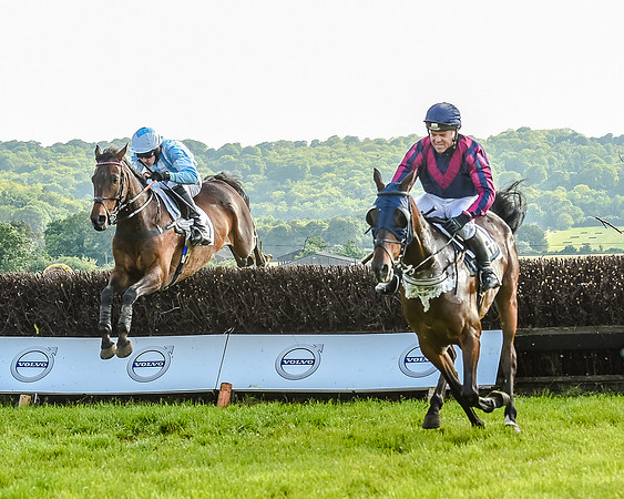 Race 7 - Div 1 - Open Maiden (47 of 94).jpg