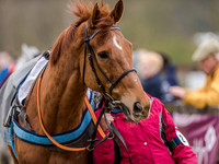 Race 6 - EA Members Conditions Race (8 of 108).jpg