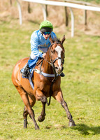 Pony Race 2 - 148cm  (16 of 49).jpg