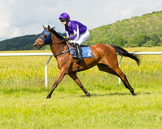 Race 5 - Restricted  (25 of 136)
