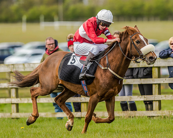 Pony Race 2 (51 of 77).jpg