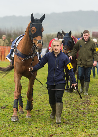 Race 5 - Open Maiden (16 of 112).jpg