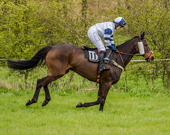 Race 7 - PPORA Members Conditions (53 of 192)