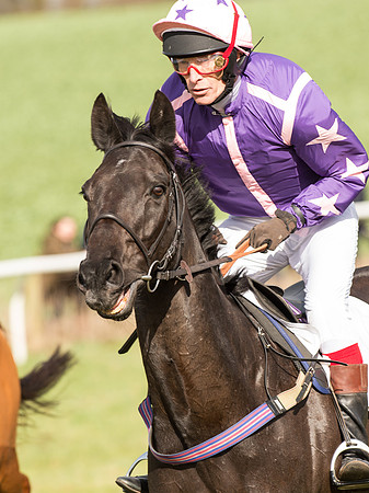 Race 4 - Novice and Veteran Riders race (27 of 46).jpg