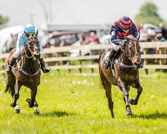 Pony Race 3 (41 of 56).jpg
