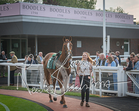 Race 5 - Mares Open Hunter Steeplechase 3m2f 70y (19 of 269)