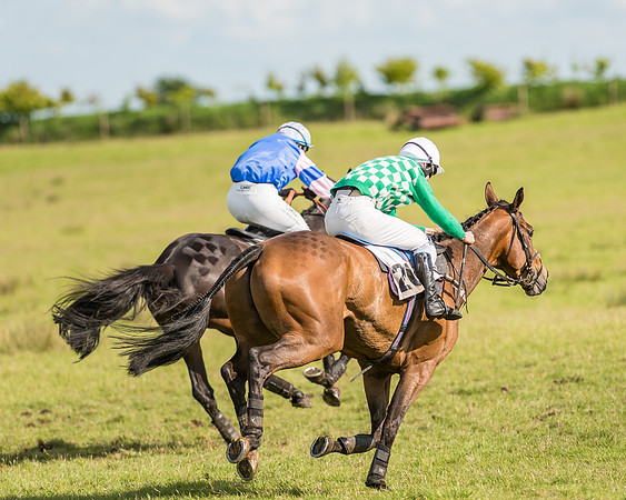 Race 6 - Open Maiden Race (70 of 71).jpg
