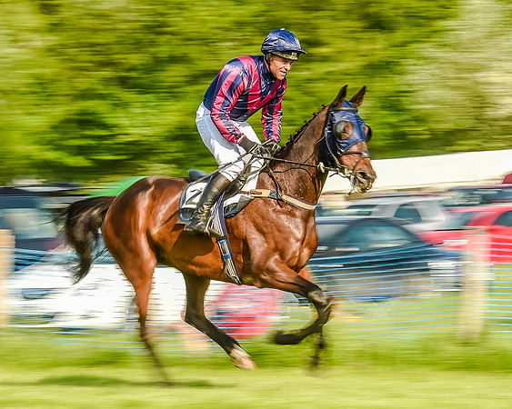 Race 7 - Div 1 - Open Maiden (24 of 94).jpg