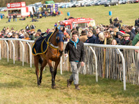 Race 3 - Mixed Open race (5 of 76).jpg