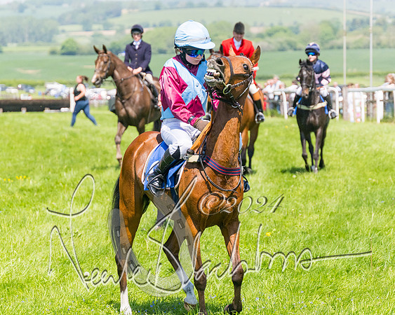 Pony Races  (26 of 141)