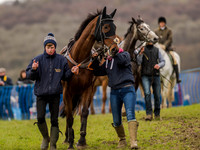 Race 3 - Young Horse maiden 2m5f (8 of 124).jpg
