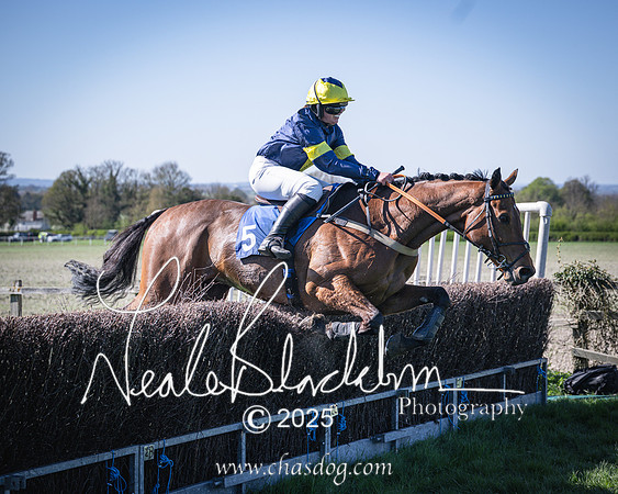 Race 5 - The restricted (102 of 113)