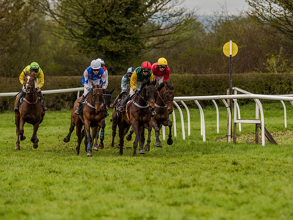 Race 1 - Confined Hunts (66 of 118).jpg
