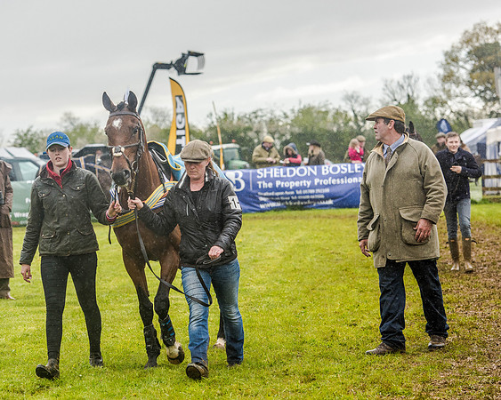 Race 5 - Open Maiden (12 of 147).jpg