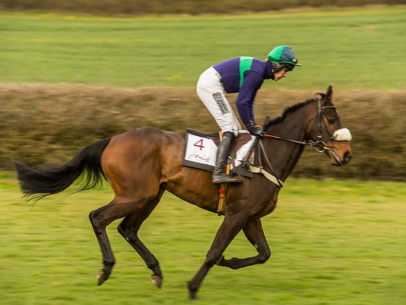 Race 6 - Open Maiden Division 1  (39 of 133).jpg