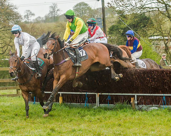 Race 5 - Restricted Race (61 of 146).jpg