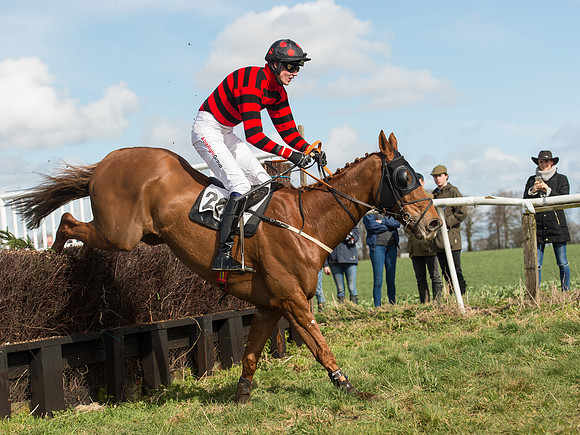 Race 2 - Confined Hunts Race (67 of 87).jpg