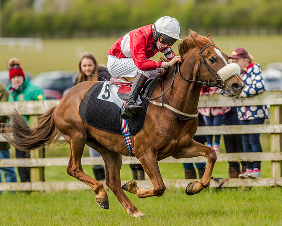 Pony Race 2 (52 of 77).jpg