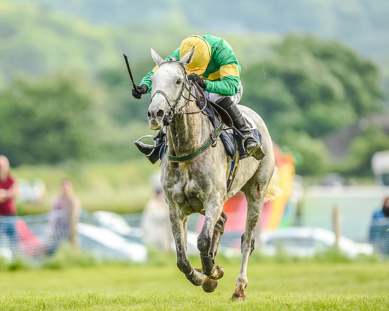 Race 7 - Div 2 - Open Maiden (127 of 163).jpg