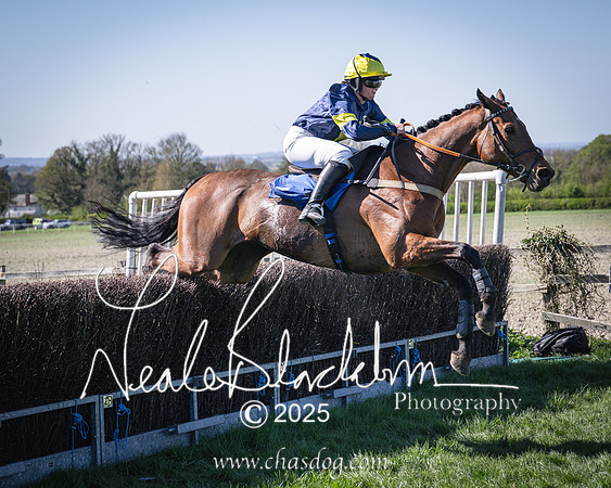 Race 5 - The restricted (84 of 113)