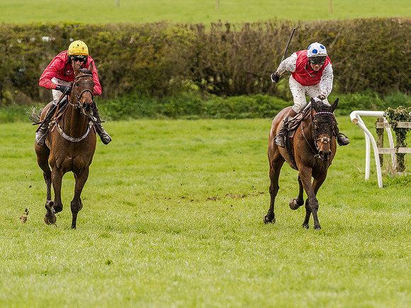 Race 1 - Confined Hunts (88 of 118).jpg