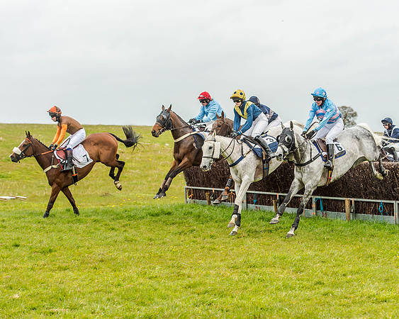 Race 1 - Hunt Members (66 of 136).jpg