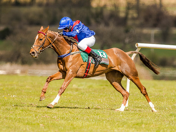 Pony Races (67 of 127).jpg