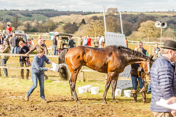 Race 6 - The Restricted Race [Nov-Vet] (79 of 84).jpg