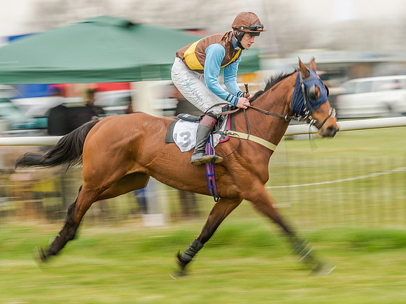 Race 5 - Open Maiden Division 2 (29 of 112).jpg