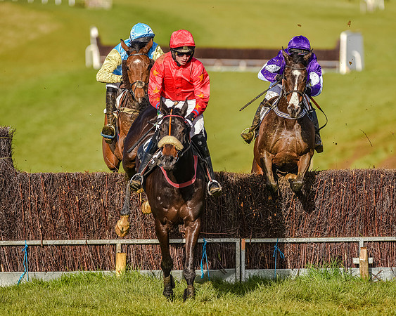 Race 7 - PPORA Club Members for Novice Riders (53 of 81).jpg