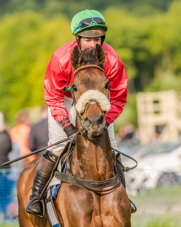Race 7 - Div 2 - Open Maiden (47 of 163).jpg