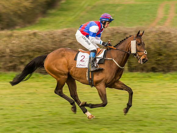 Race 6 - Open Maiden Division 1  (46 of 133).jpg