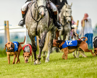 Race 8  - Hound Open Race (9 of 22).jpg