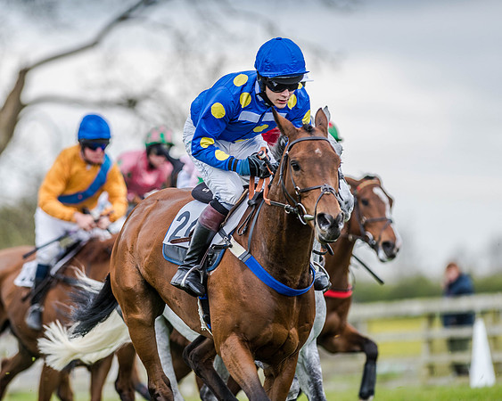 Race 2 - Open Maiden  (69 of 170).jpg