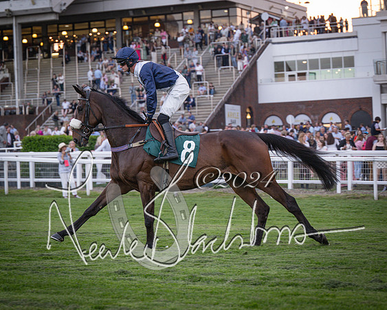 Race - 7 The Royal Gloucester Hussars Open Hunter's steeplechase 2m4f 127y (41 of 210)