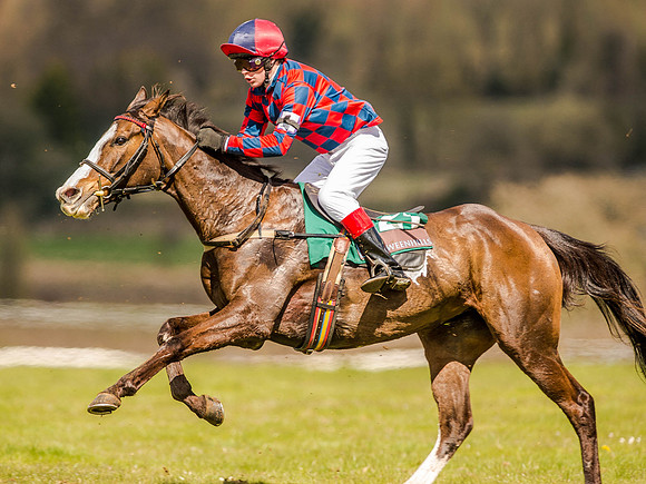 Pony Races (118 of 127).jpg