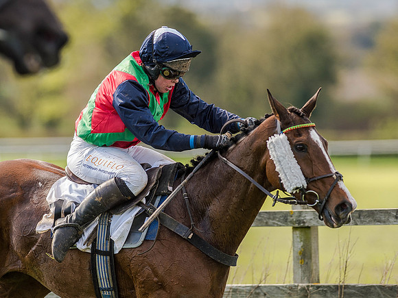 Race 5 - The Southern Grand national (69 of 96).jpg