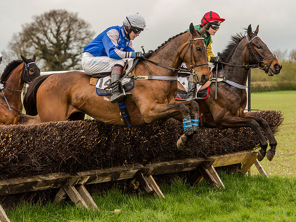 Race 1 - Confined Hunts (54 of 118).jpg