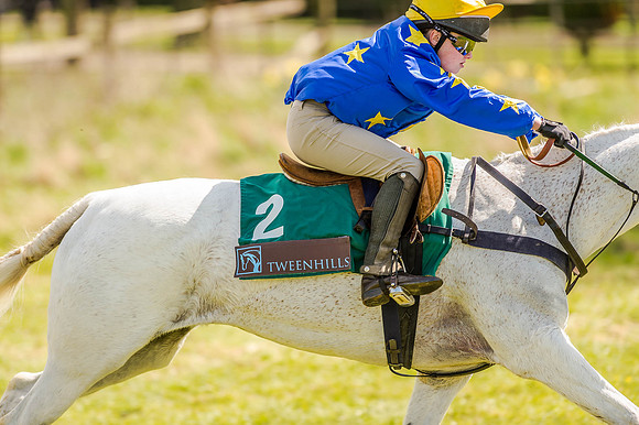 Pony Races (34 of 127).jpg