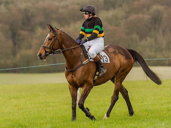Race 2 - PPORA Club Members Conditions 2m5f (45 of 137).jpg