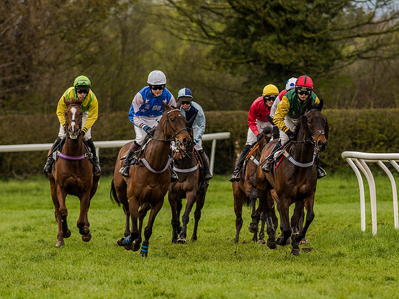 Race 1 - Confined Hunts (50 of 118).jpg